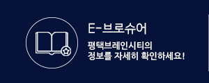 E-브로슈어